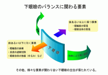 経結膜下眼瞼形成術②