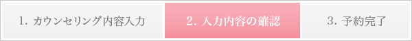 2. 入力内容の確認