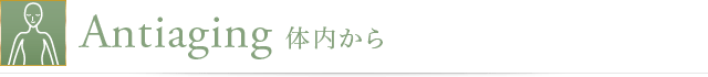 Antiaging 体内から