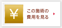 この施術の費用を見る