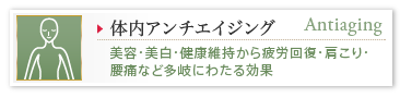 体内アンチエイジング