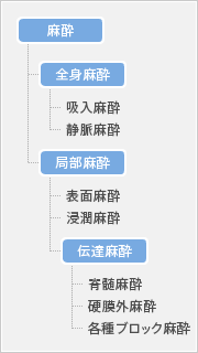 麻酔について