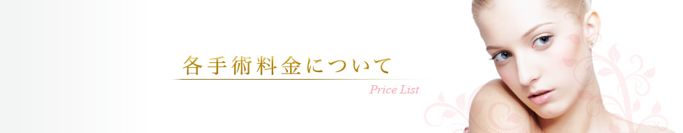 各手術料金について